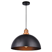 Светильник подвесной Arte Lamp EURICA A4249SP-1BK 60Вт E27