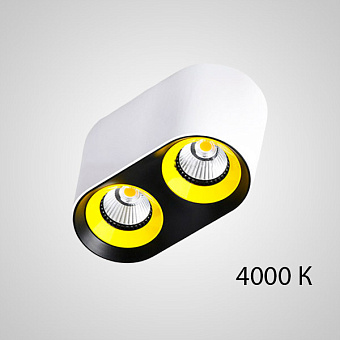 Спот ImperiumLOFT Rexton 212490-23 16Вт 2 лампы LED