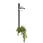 Светильник настенный Loft It Jardin 10121W/B 24Вт LED