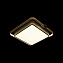 Светильник потолочный Loft It Mike 10171 34Вт LED