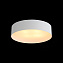 Светильник потолочный ST Luce CHIO SL392.502.04 160Вт E14