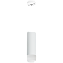 Светильник настенно-потолочный Lightstar Rullo RP48631 50Вт GU10