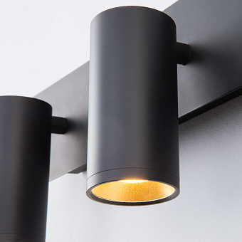 Светильник настенный Eurosvet Fleur 20066/3 LED черный/золото 15Вт LED