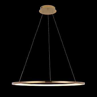 Светильник подвесной Loft It Ring 10014L 24Вт LED