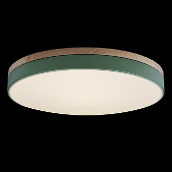 Светильник потолочный Loft It Axel 10001/36 Green 36Вт LED