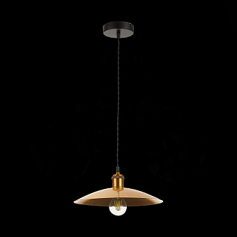 Светильник подвесной ST Luce ROMO SL1017.203.01 60Вт E27