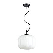 Светильник подвесной Odeon PENDANT 4753/1 60Вт E27