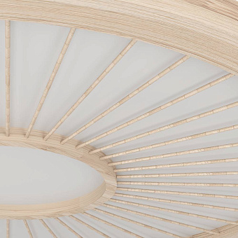 Светильник потолочный EGLO DEHESA 390296 36Вт LED