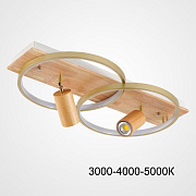 Светильник потолочный ImperiumLOFT Didrika 223838-23 58Вт LED