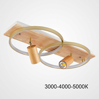 Светильник потолочный ImperiumLOFT Didrika 223838-23 58Вт LED