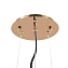Светильник подвесной Favourite Sollicitat 2503-2P 50Вт E27 CFL