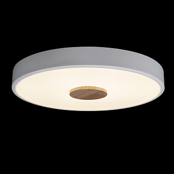 Светильник потолочный Loft It Axel 10003/24 White 24Вт LED