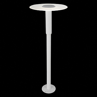 Светильник ландшафтный ST Luce SL099 SL099.505.01 6Вт IP66 LED белый