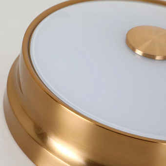 Светильник потолочный Favourite Pannikin 2375-2C 80Вт E27