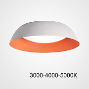 Светильник потолочный ImperiumLOFT Betsy 224034-23 48Вт LED