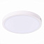 Светильник настенно-потолочный ST Luce Nubes ST112.542.24 24Вт LED