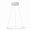Светильник подвесной ST Luce ST604 OUT ST604.543.22 22Вт LED