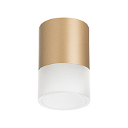 Светильник настенно-потолочный Lightstar Rullo R349081 15Вт GX 5.3