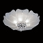 Светильник потолочный Lightstar Lobo 804020 240Вт G9