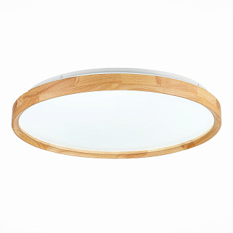 Светильник потолочный Evoluce DELIA SLE201382-01 40Вт LED