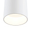 Светильник потолочный Maytoni Dafne C027CL-L10W 10Вт LED