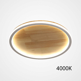 Светильник потолочный ImperiumLOFT Dolan 223954-23 58Вт LED