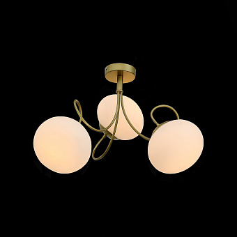 Светильник потолочный Evoluce ACINI SL717.202.03 120Вт E27