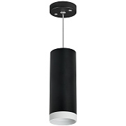 Светильник настенно-потолочный Lightstar Rullo RP4873436 50Вт GU10