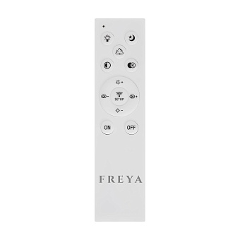Светильник потолочный Freya Radane FR10020CL-L70W 70Вт LED