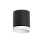 Светильник настенно-потолочный Lightstar Rullo R34873486 15Вт GX 5.3
