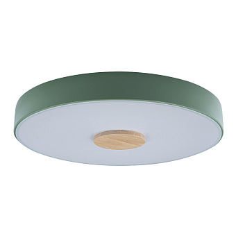 Светильник потолочный Loft It Axel 10003/24 Green 24Вт LED