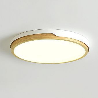 Светильник потолочный ImperiumLOFT Lid 101732-26 46Вт LED