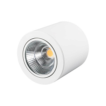 Светильник точечный накладной Arlight SP-Focus 021066 30Вт LED