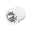 Светильник точечный накладной Arlight SP-Focus 021066 30Вт LED