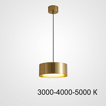 Светильник подвесной ImperiumLOFT Siggen 212934-23 6Вт LED