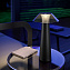 Настольная лампа Elektrostandard Future TL70200 4Вт LED