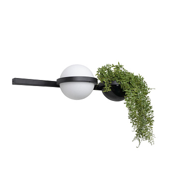 Светильник настенный Loft It Jardin 10121W/A 24Вт LED