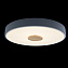Светильник потолочный Loft It Axel 10003/24 Grey 24Вт LED