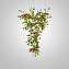 Светильник подвесной ImperiumLOFT Elling 231851-23 640Вт G9