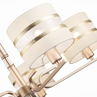 Светильник потолочный Evoluce ALMESE SLE300203-05 200Вт E14