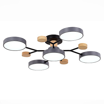 Светильник потолочный Evoluce FAEMA SLE6006-702-05 60Вт LED