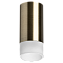 Светильник настенно-потолочный Lightstar Rullo R43131 50Вт GU10