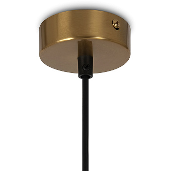 Светильник подвесной Maytoni Ring MOD013PL-04BS1 100Вт G9