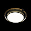 Светильник потолочный Loft It Mike 10169 32Вт LED