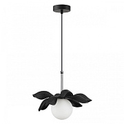 Светильник подвесной Lumion TANZANIA 5617/1 40Вт G9