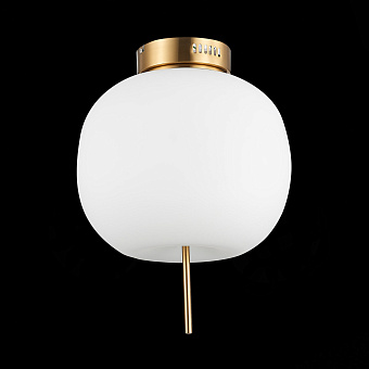 Светильник потолочный ST Luce LACUS SL1621.202.01 25Вт LED