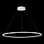 Светильник подвесной ST Luce ST604 OUT ST604.543.57 57Вт LED