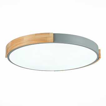 Светильник потолочный Evoluce DELIA SLE201372-01 40Вт LED