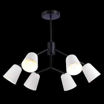 Светильник потолочный Evoluce MARIO SLE155942-06 240Вт E14