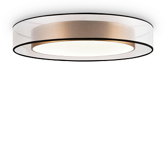 Светильник потолочный Freya Zoticus FR6005CL-L48G 48Вт LED